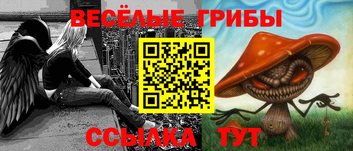 Беслан  Псилоцибиновые грибы прущие грибы  Вход с VPN 