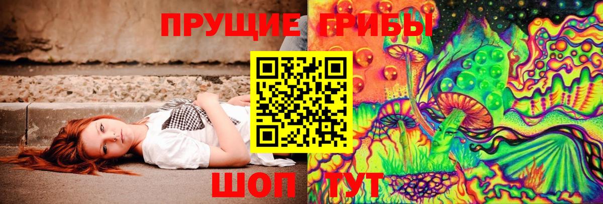 Псилоцибиновые грибы мицелий Беслан